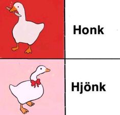 the duck is standing in front of four different pictures with words honk honk