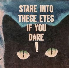 there is a black cat with green eyes on it's face and the words stare into these eyes if you dare