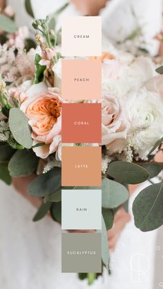 This mood board features a serene peach and eucalyptus color palette, combining soft, warm tones of peach and coral with cool, refreshing hues of light sage, soft green, and creamy neutrals. The overall design exudes natural elegance, perfect for small business branding or weddings. The balance of earthy greens and warm peach shades creates a harmonious, calming aesthetic, ideal for modern, sophisticated themes with a touch of organic beauty and romance. Light Coral Wedding, Coral Wedding Color Palette, Sage And Peach Wedding Invitations, Bridal Color Schemes Fall, Fall Wedding Color Palette Pink, Spring Wedding Colors Orange, Light Blue Terracotta Wedding, Peach Cream Green Wedding, Wedding With Pink Color Schemes