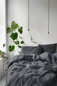 an unmade bed with grey linens and hanging plants