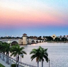 palm trees line the sidewalk next to a large body of water at dusk with a bridge in the background