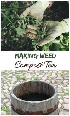 Making compost tea with weeds and rain water. #weedcomposttea #gardenfertilizer Compost Tea Recipe, Composting Tips, Garden Diy Decoration Ideas, Make Compost, Composting 101, How To Compost, Compost Tumbler, Diy Compost