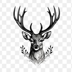 a black and white deer with antlers on it's head