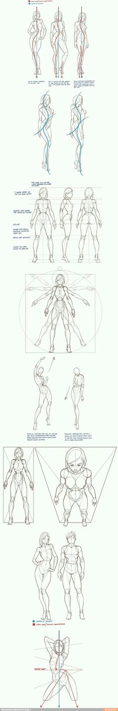 an image of how to draw the human figure from avatar, with different angles and body parts