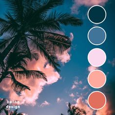 palm trees with the sky in the background and three different shades of pink, red, blue