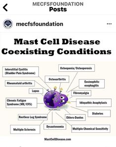 Multiple Chemical Sensitivity, Mast Cell Activation Syndrome, Chronic Fatigue Symptoms, Chiari Malformation, Mast Cell, Restless Leg Syndrome, Vagus Nerve, Ehlers Danlos Syndrome