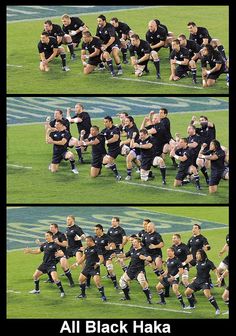 the rugby team is all black haka