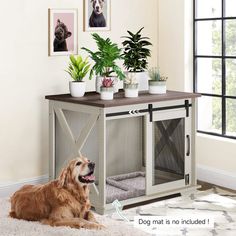 a dog laying on the floor next to a table with plants