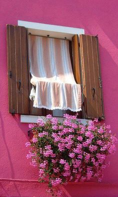 a window with wooden shutters and pink flowers in the foreground, against a pink wall