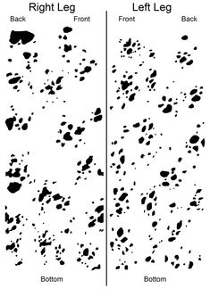 the left and right leg areas of an animal's footprints are shown in black