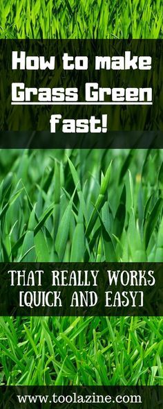 grass with the words how to make grass green fast that really works quick and easy