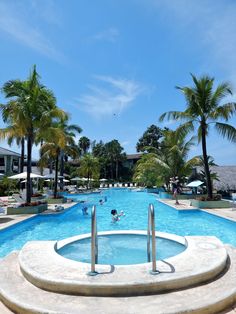 an empty swimming pool surrounded by palm trees