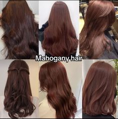 Best Hair Colors For Tan Skin, Hair Colors For Warm Undertones, Brown With Red Undertones, Mahogany Hair Color, Natural Hair Color Ideas, Hair Color Mahogany, Hair Color Ideas For Asian, Mahogany Hair, Wine Hair