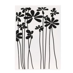 some black and white flowers on a white background