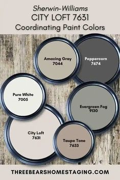 four different shades of paint for the walls and floors in this color scheme, with text overlaying them