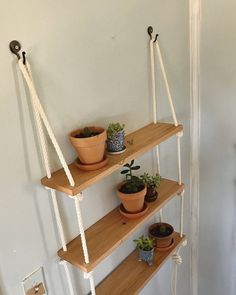 three wooden shelves holding plants and potted plants on top of each shelf, hanging from the wall