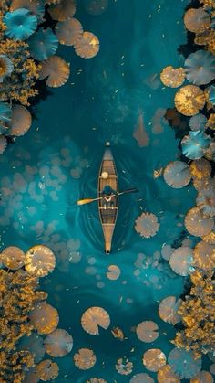 an aerial view of a kayak in the water surrounded by lily pads and leaves