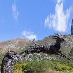 a bird perched on top of a tree branch in the middle of a mountain range