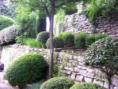 a stone wall with trees and bushes growing on it