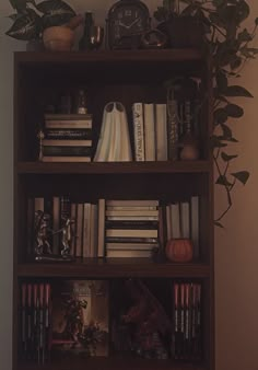 a bookshelf filled with lots of books next to a potted plant on top of a wooden shelf