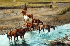 there are many horses that are drinking water from the river and people on horseback in the background