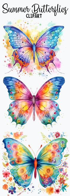 colorful summer watercolor butterflies Butterfly Sayings, Cute Christmas Clipart, Christmas Clipart Free, Alice In Wonderland Clipart, Flower Clipart Png, Clipart Letters, Free Clipart Images, Detailed Coloring Pages, Relaxing Art