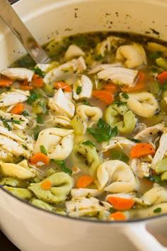 a pot filled with chicken noodle soup on top of a stove