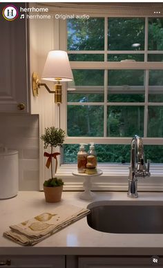 a kitchen sink sitting under a window next to a counter top with a potted plant on it