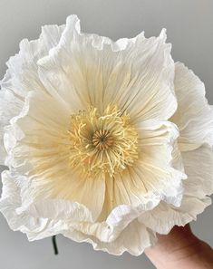 a person holding a large white flower in their hand