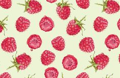 raspberries on a white background with green stems and leaves, painted in watercolor