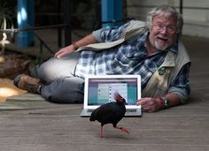 a man laying on the ground with a laptop and a bird standing next to him