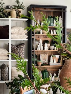 a room filled with lots of shelves and plants on top of each shelf in front of a potted plant