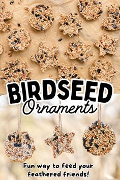 birdseed ornaments are hanging on the wall with text that reads, bird seed ornaments fun ways to feed your feathered friends