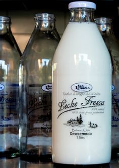 several bottles of milk are lined up on the counter