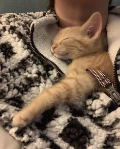 an orange cat laying on top of a woman's lap while wearing a jacket