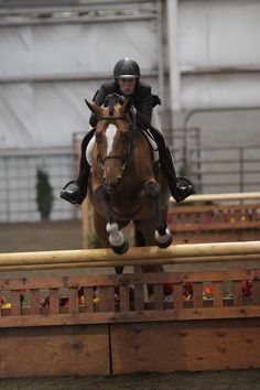 a person riding on the back of a brown horse jumping over an obstacle with it's legs in the air