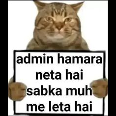 a cat holding up a sign that says, admin hamara neta hai saba muh me leta hai