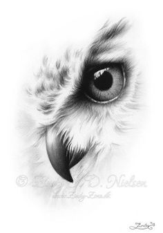 an owl's eye is shown in this black and white drawing by steve p nelson