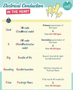 the electrical conduct in the heart chart is shown with instructions for how to use it