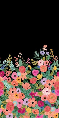 an image of colorful flowers on a black background