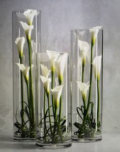 three clear vases with white flowers in them on a gray surface, one is filled with water and the other has green stems