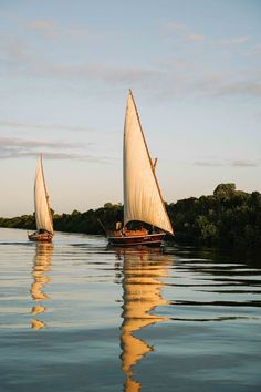 two sailboats in the water with trees in the backgrounge and clouds in the sky