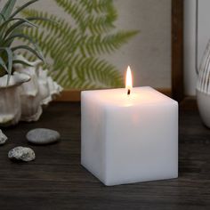 a white candle sitting on top of a wooden table next to rocks and a potted plant