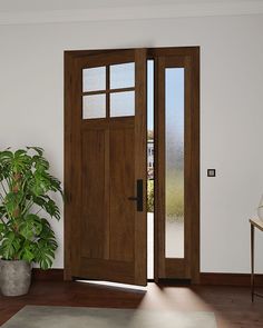 a potted plant sitting on top of a wooden floor in front of a door