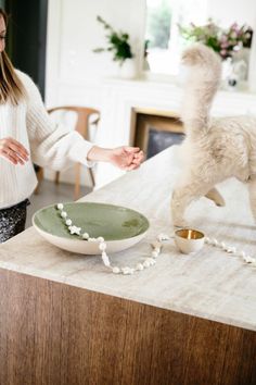 a woman standing in front of a white dog on top of a counter next to a plate