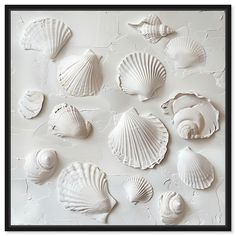 there are many seashells on the white wall and one is in black frame