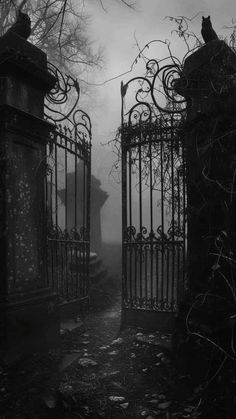 black and white photo of an old cemetery with wrought iron gates in the foreground