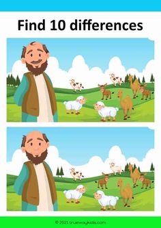 two pictures with the same person and animals on them, one has sheep in it