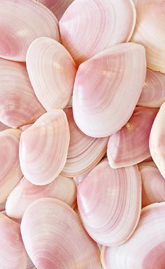 there is a large pile of seashells with hearts in the background