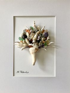 an animal skull with shells and sea glass in it's mouth on a white frame